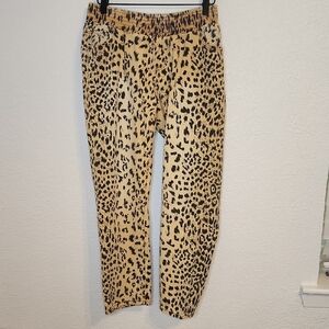 Turquoise Haven Leopard Print straight let Pants Size Small Style cv8810ch